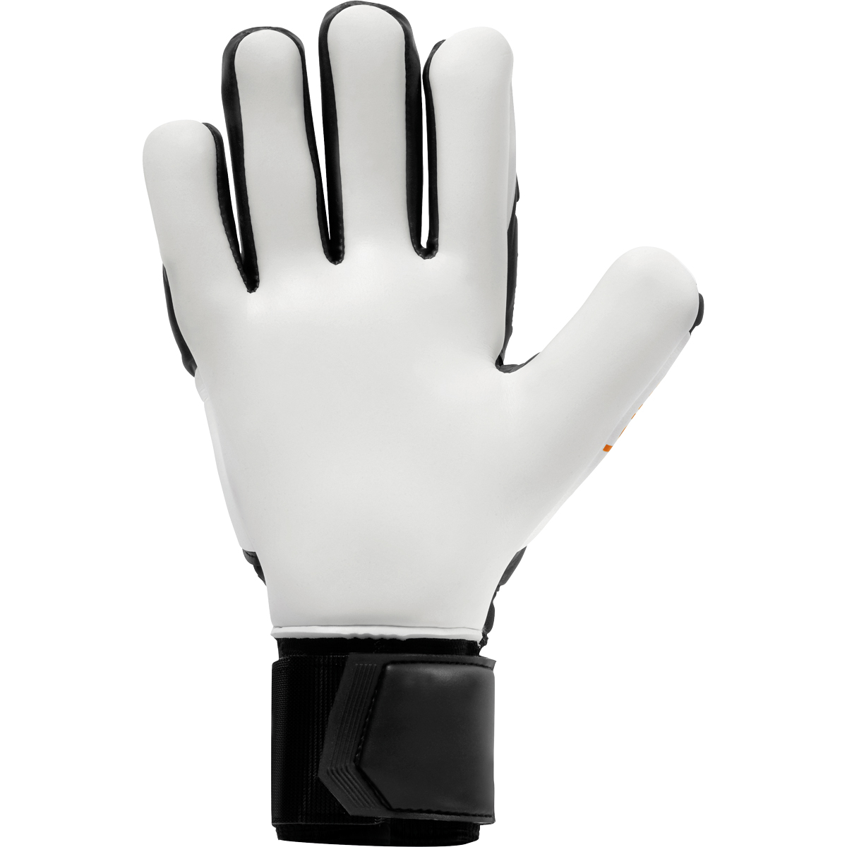 101126401_palm 101126401_palm